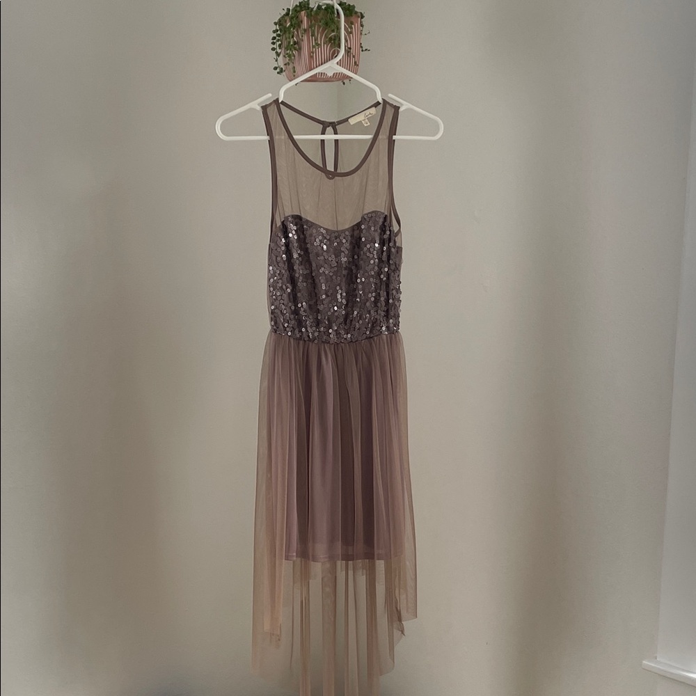 Elegant Sequined Sheer Dress